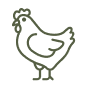 Broiler-Breeder