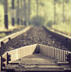 blog_img2